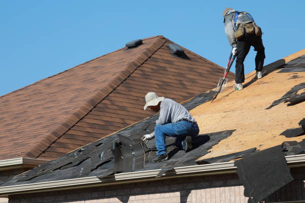 Best Green or Eco-Friendly Roofing Solutions  in Ely, MN
