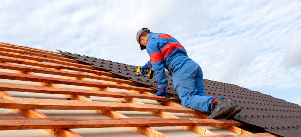 Best Wood Shake Roofing  in Ely, MN