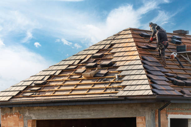 Best Roof Maintenance  in Ely, MN