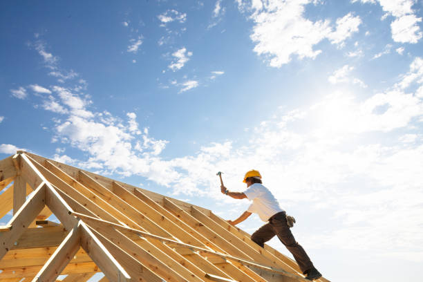 Best Siding  in Ely, MN